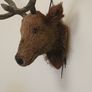 wall mount deer head Image 5