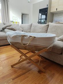Moses basket