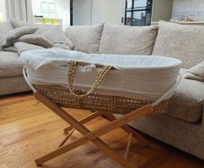 Moses basket