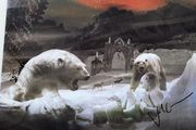 A Storm Of Light/Nadja - Primitive North  2 LP with CD - 2009 (AUTOGRAPHED)
