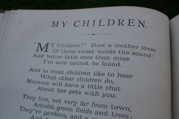 book (1873) Aunt Louisas National Album