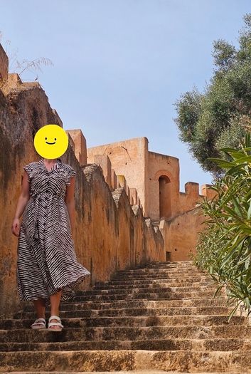 Brown cream zebra print shirt dress size 10-12 (viscose)