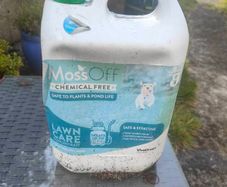 Moss off lawn care