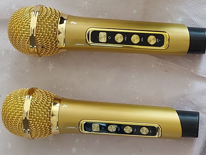 Loa karaoke SU-YOSD YS-211, Bluetooth Speaker, Dual Microphone, Both speaker and Microphones USB C Charged
