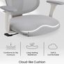 Flexispot Ergonomic Chair (MINT - NEW - unpacked and reboxed, never used) Image 4