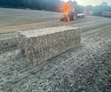 Wheat straw