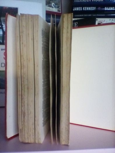A Dictionary of The Portuguese Language In Two parts by Alfred Elwes (LP115)
