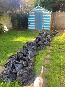 Free Top Soil