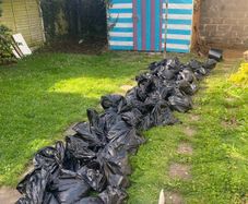 Free Top Soil