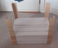 Homemade wrestling ring