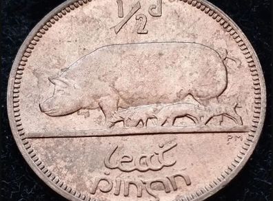 [#302] - Ireland 1942 | Irish 1/2d | Irish Half Penny | Sow | KM.10 | UNC
