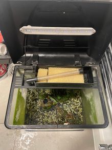 Free Aquarium