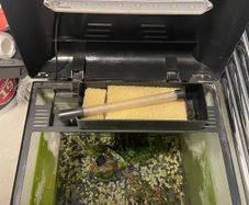 Free Aquarium