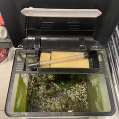 Free Aquarium