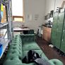 green velvet couch Image 2