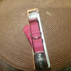 New red Dog collar