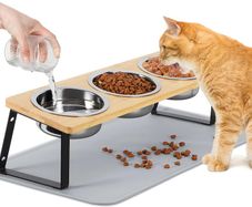 Cat Bowls with Stand & Feeding Mat, 3Pcs Deep Stainless Steel Food Bowls (500ml) for Pet