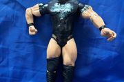 wrestler Randy Orton