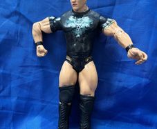 wrestler Randy Orton