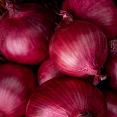 (O) Onion Red Baron seeds 1g (120338)