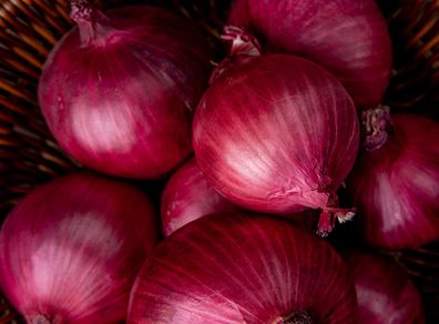 (O) Onion Red Baron seeds 1g (120338)