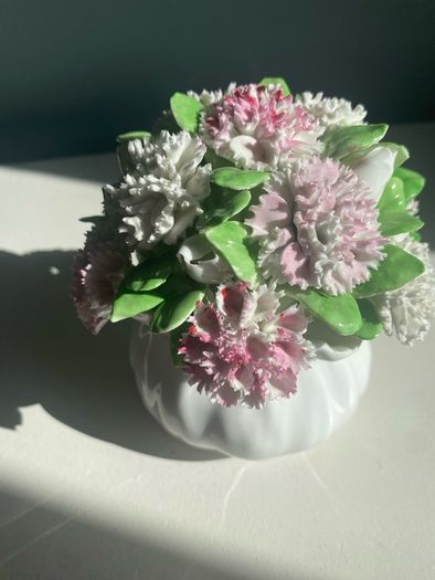 Beautiful large  carnation posy by by Royal  Adderley