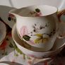 Salisbury 21 Piece China Teaset Image 2