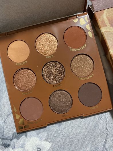 Colourpop wild child eyeshadow palette