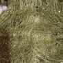 pair Christmas tree decor Image 7