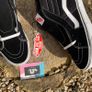New Premium Vans Image 4