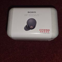Sony Wf - 1000xm5