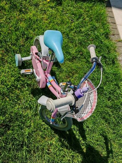 Raleigh kids bike