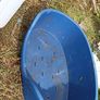 Small Dog Kennel and Bed Image 6