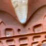Nike Air Max 95 LX Pony Smokey Blue/Mushroom RARE Women s Image 6