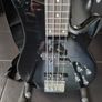 bass Image 3