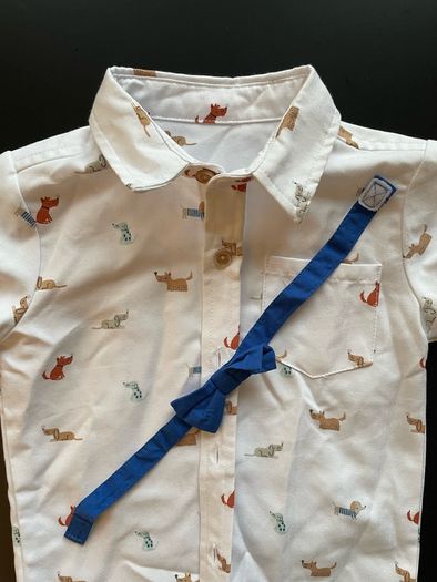 baby shirt and tie