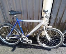 Men's mountain bike