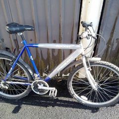 Men's mountain bike