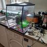 Fish tank Image 2