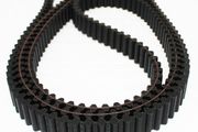 Castelgarden Timing Belt 40"