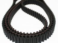 main image for ad Castelgarden Timing Belt 40"