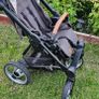 buggy Image 3