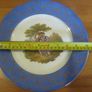 Limoges France plate    10 inch Image 2
