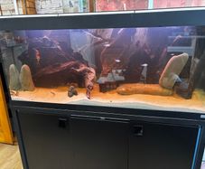 Fish Tank Fluval Rio 240