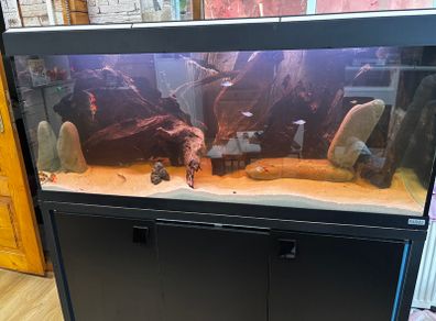 Fish Tank Fluval Rio 240