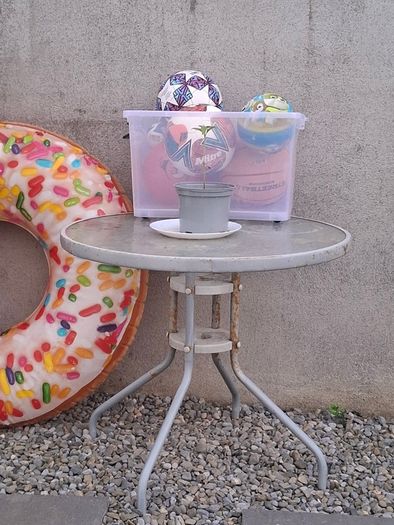 Table and 4 x Chairs