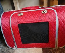 Pet carrier