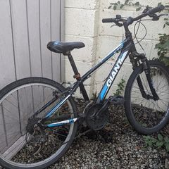 Giant Bicycle, 24'' wheels
