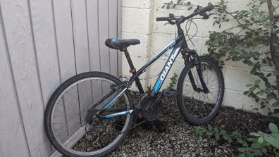 Giant Bicycle, 24'' wheels