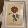 Set of Floral Prints Image 5